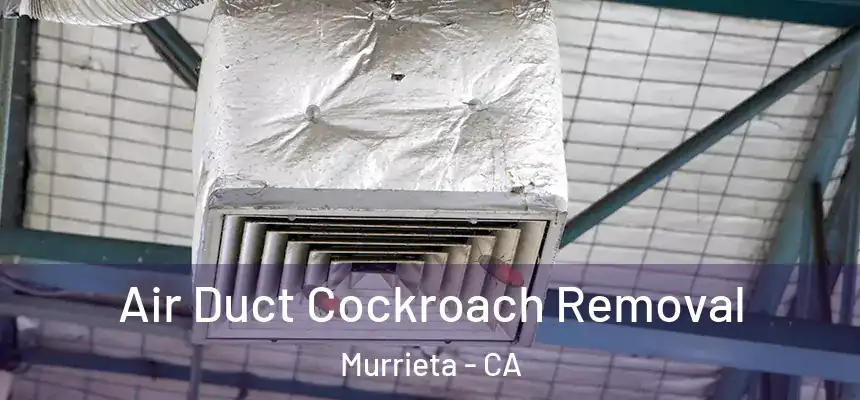 Air Duct Cockroach Removal Murrieta - CA