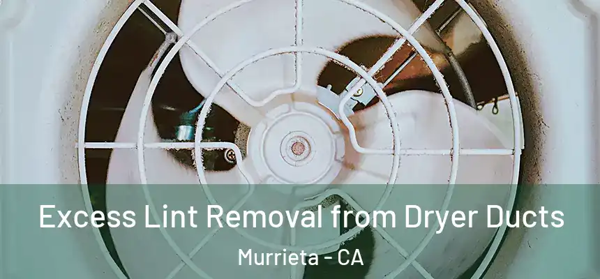 Excess Lint Removal from Dryer Ducts Murrieta - CA