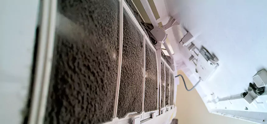 Preventive Air Duct Bacteria Removal in Murrieta