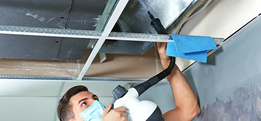 Our Air Duct Rodent Removal Services in Murrieta, CA