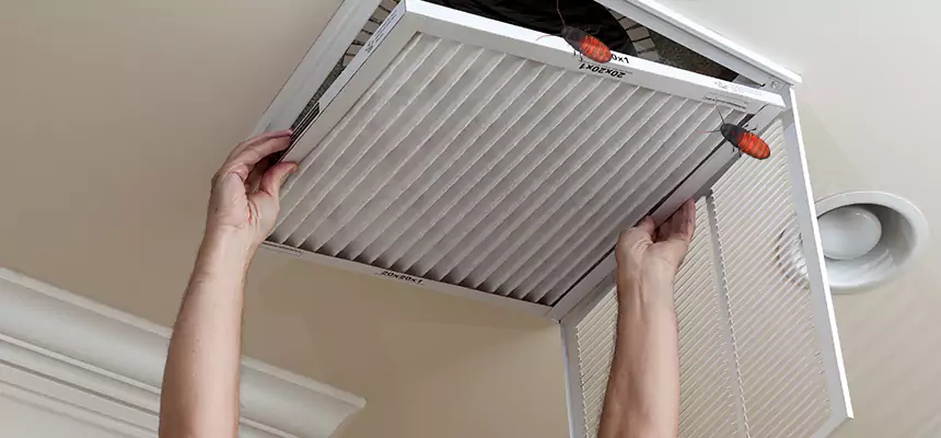 Our Insect Removal from Air Ducts Services in Murrieta, CA