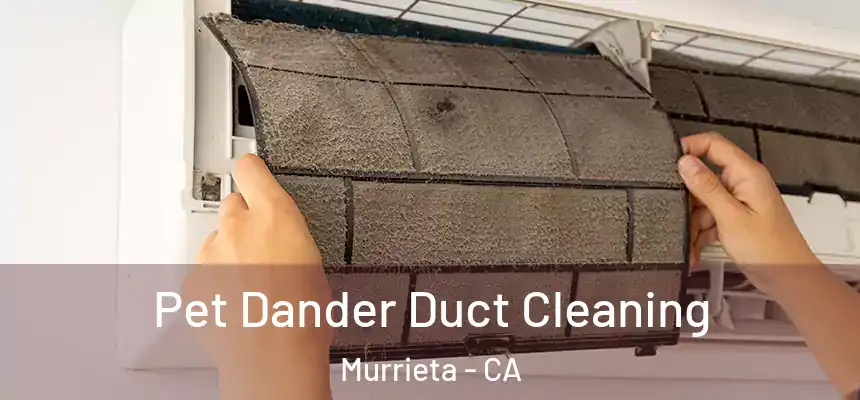 Pet Dander Duct Cleaning Murrieta - CA
