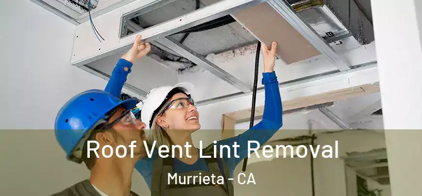 Roof Vent Lint Removal Murrieta - CA