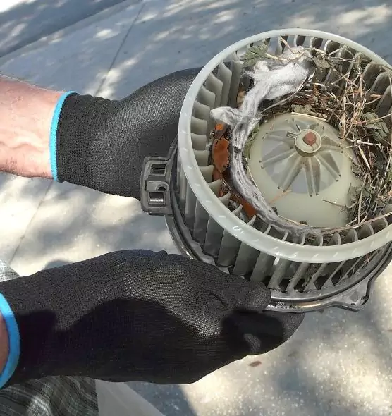 About Air Duct Rat Removal in Murrieta, CA