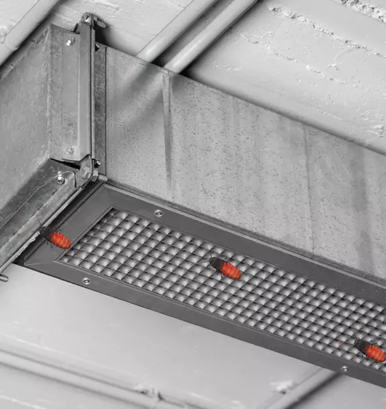 Affordable Insect Removal from Air Ducts in Murrieta, CA