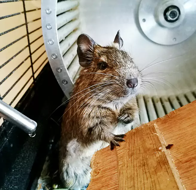 Why Homeowners & Businesses Trust Us Murrieta, CA?